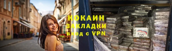 apvp Вяземский